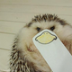 Illustration for article titled Hedgehog Impersonates Pikachu (and More)